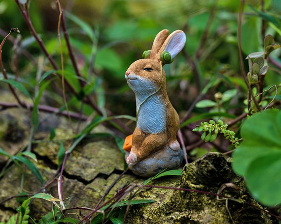 Petit lapin Miniature féerique, écouter de la musique avec des écouteurs  sur pierre, Mini accessoires de jardin, accessoires de Terrarium pour  plantes -  France