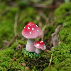 Fairy Miniature Small Mushroom , Red Top -- ,  Fairy Garden Supplies Terrarium Accessories