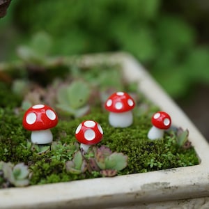 Könnte beinhalten: Vier Miniatur-Pilzfiguren in Rot und Weiß mit weißen Stielen, angeordnet auf einem Bett aus grünem Moos in einem weißen Topf.