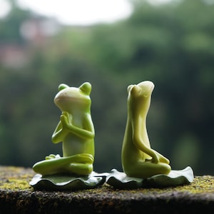 Miniature Frog Figure sit in meditation , Yoga Buddha Zen Frogs Small  Figurines Fairy Garden Supplies Terrarium Accessories