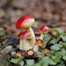 Miniature Small Mushroom , Red Top ,  Fairy Garden Supplies Terrarium Accessories 