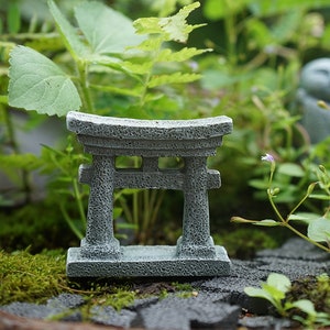 jardin con bonsais  Diseño jardín zen, Jardines, Jardines de hadas de  interior