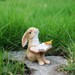 Fairy Garden Miniature Small Cute Rabbit Reading Book with Bird,Mini Garden Supplies DIY Terrarium Accessories Animal Figurine 