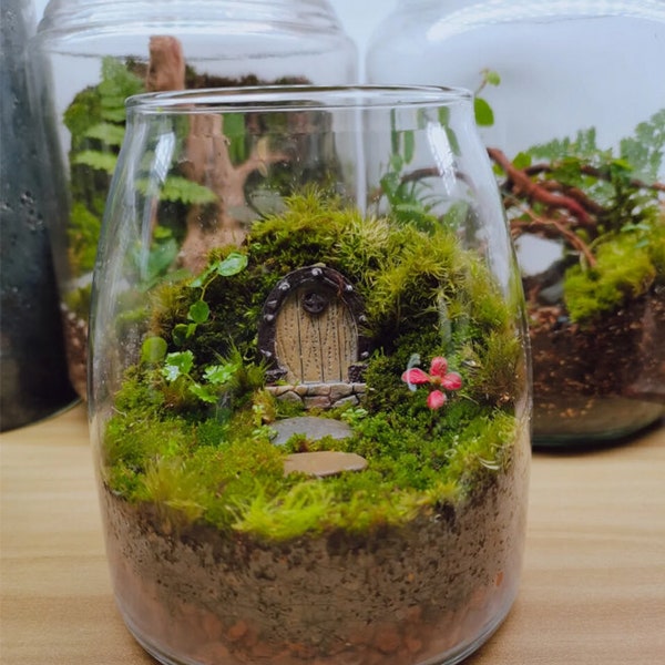 Terrarium Supplies Etsy