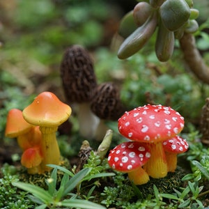 Miniature Tiny Mushrooms Fairy Garden Supplies Terrarium Accessories Orange Brown and Red
