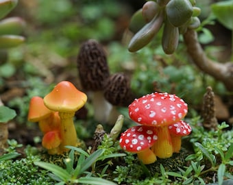 May include: A collection of miniature mushroom figurines in a variety of colors, including red, white, orange, and brown. The mushrooms are arranged on a bed of green moss and surrounded by small green plants.