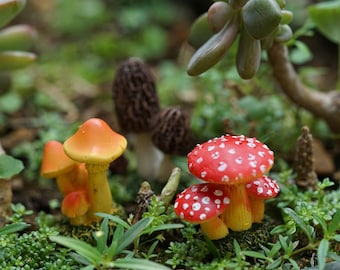 Miniature Tiny Mushrooms Fairy Garden Supplies Terrarium Accessories Orange Brown and Red