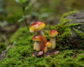 Miniature Small Mushroom , Red Top ,  Fairy Garden Supplies Terrarium Accessories