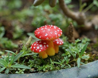5 Funghi In Miniatura Per Terrario E Giardino Fatato - Argilla E Filo - Thailandesi