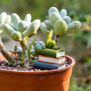 Miniature Small Frog Stare Blankly On Book , Animal Figurines Fairy Garden Supplies Terrarium Accessories DIY Miniature Garden