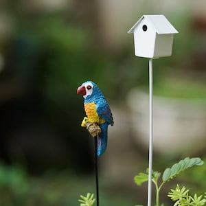 Miniatur-Papagei und weiße Vogelhaus-Tierfigur Fee-Gartenbedarf Terrariumzubehör
