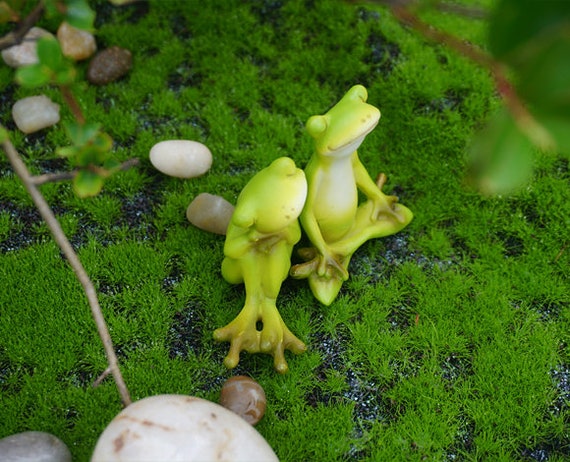 Miniature Fairy Garden Yoga Frogs 3 Piece Set Options 