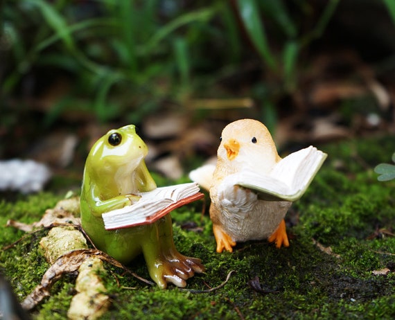 Miniature Small Frog and Friend Bird Reading Book , Animal
