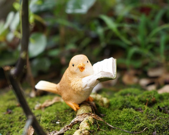 Miniature Small Frog and Friend Bird Reading Book , Animal
