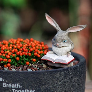 Fairy Garden Miniature Small Love Cute Rabbit Reading Book with Bird,Mini Garden Supplies DIY Terrarium Accessories Animal Figurine