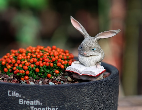 Cute rabbit best sale accessories