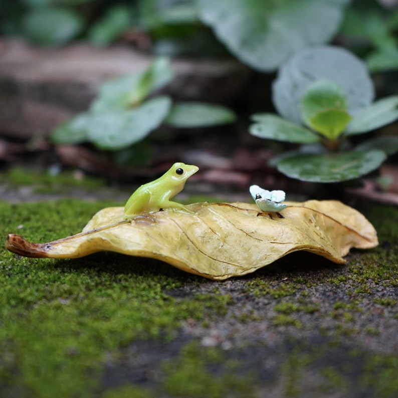 Fairy Miniature Tiny Frog and Butterfly on Leaf , Fairy Garden Supplies DIY Terrarium Accessories Animal Figurine image 1