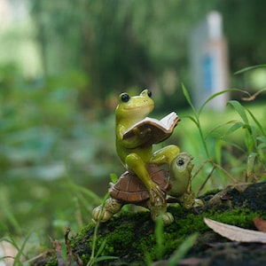 SALE Miniature Tiny Frog Reading Book on Tortoise,Fairy Garden Supplies DIY Terrarium Accessories Animal Figurine image 1