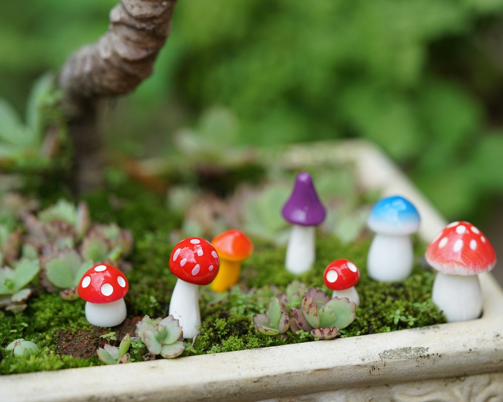 Set von 7 Stck Miniatur winzigen gemischten Farben und Gre Pilz Fee  Garten Lieferungen Terrarium Zubehr - Etsy.de
