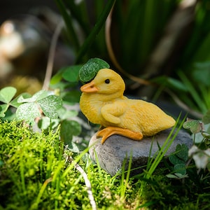 Miniature Small Duck Sit on Stone Animal Figurines Fairy Garden Supplies Terrarium Accessories DIY Miniature Garden
