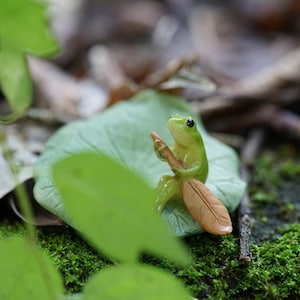 Miniature Tiny Frog Paddling on Lotus Leaf , Animal Figurines Fairy Garden Supplies Terrarium Accessories DIY Miniature Garden
