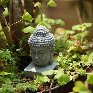 Miniature Small Buddha Head Figure Fairy Garden Supplies Terrarium Accessories