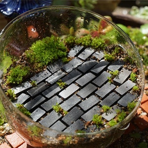 20 Stück Feengarten Zubehör Miniatur Tiny Black Brick Sukkulenten Miniatur Terrarium Zubehör 1: 16