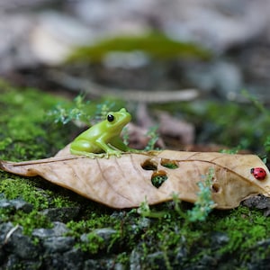 Miniaturowa mała żaba z biedronką leżąca na liściu figurki zwierząt akcesoria do ogrodu wróżek akcesoria do terrarium miniaturowy ogród DIY