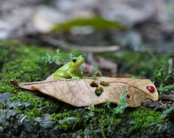 Miniature Tiny Frog with Ladybug Lay on Leaf  Animal Figurines Fairy Garden Supplies Terrarium Accessories DIY Miniature Garden