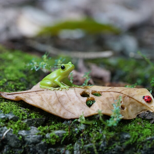 Rana pequeña en miniatura con mariquita, figuritas de animales en forma de hoja, suministros de jardín de hadas, accesorios para terrario, jardín en miniatura DIY