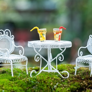 Miniature A Set of 5pcs Iron Table & Chairs with Fruit Teas Figurines Fairy Garden Supplies Terrarium Accessories