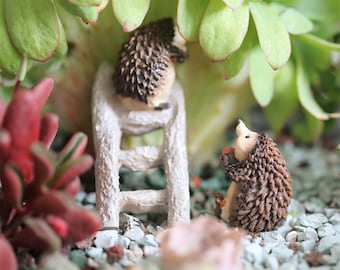 May include: Two miniature brown hedgehogs, one climbing a white wooden ladder and the other standing on the ground, in a miniature garden setting with green and red succulents.