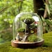 Avatar di LoveFairyGarden