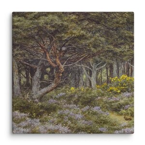 May include: A square canvas print featuring a dense forest scene with dark green trees, a gnarled tree trunk in the foreground, patches of bright yellow gorse bushes, and a carpet of purple heather covering the ground with a small animal visible.