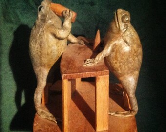 crapaud Toad skeleton!! Taxidermie cabinet de curiosité squelette grenouille