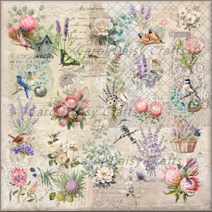 May include: A collage featuring floral arrangements, birds, butterflies, and a birdhouse. The design incorporates lavender, roses, and protea flowers in shades of pink, purple, and white, set against a vintage-style background with script text and lace patterns. The text "Carol Daisy Crafts" is visible.