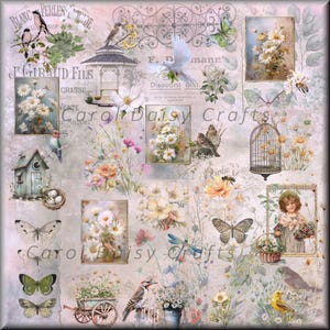 May include: A vintage-style collage with a floral and bird theme. It features images of birds, butterflies, flowers, a birdhouse, and a cage. The color scheme is soft, with pastel shades of pink, yellow, and green. Text includes "Carol Daisy Crafts".
