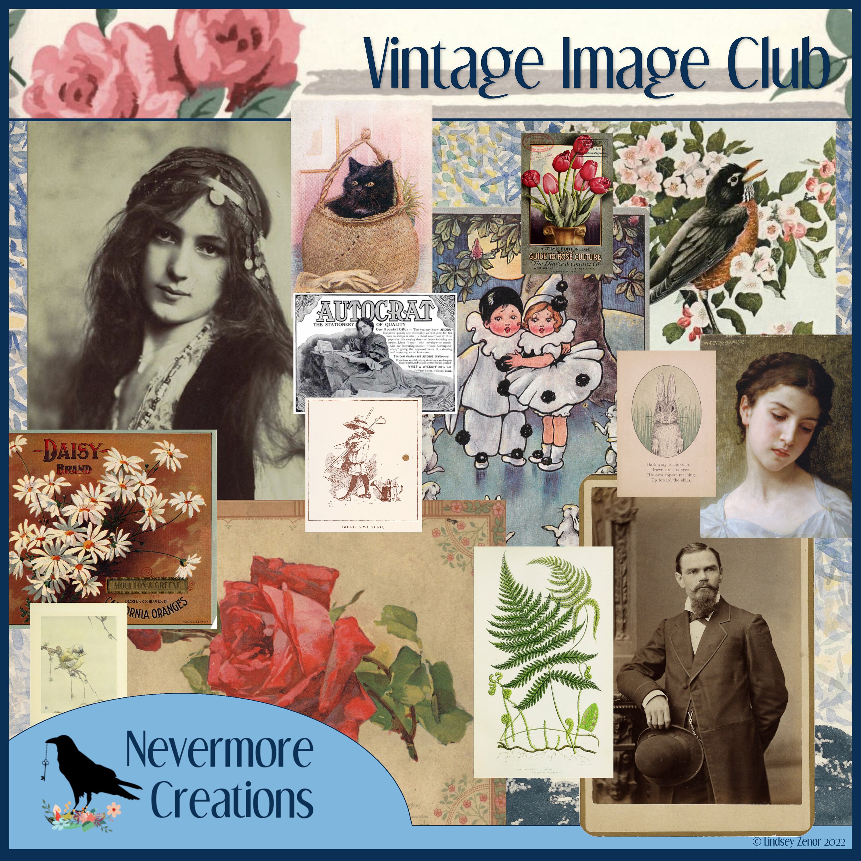  Collage And Cut Out Book: More than 400 high quality images:  Insects, dogs, cats, vintage, ephemera, Botanicals, Birds, Vehicles, etc.  Mixed Media,  Crafts, and More (Cut and Collage Books): Books