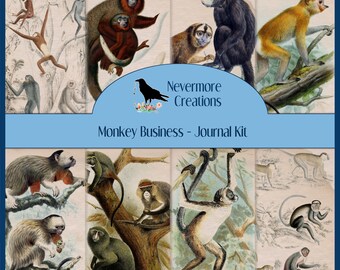 Monkey Business DIGITAL Journal Kit