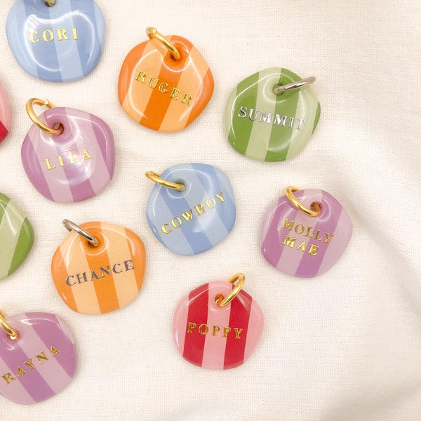 Colorful Striped Pet ID Tag - bright, summer, dog tag