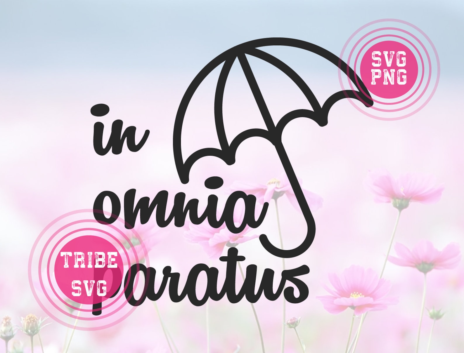 In Omnia Paratus Svg Etsy