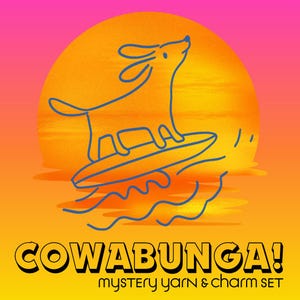 予約販売* COWABUNGA! ミステリーソックスセット、オプションの粘土ステッチマーカー、手染め糸、中細糸、編み物またはかぎ針編み、靴下用糸