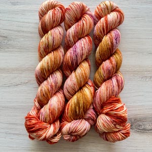 DK AUTUMN SPICE Hand Dyed Yarn, Three by the Sea Designs, Dk Weight Yarn, Destin Base, Indie Dyer, Variegated Yarn, Autumn Yarn, Fall Yarn