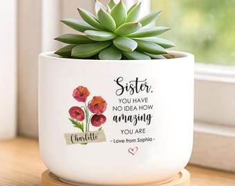 Personalized Plant Pot Gift For Sister, Custom Sister Birth Month Flower Gift, Sentimental Gift For Sister, Mother&#39;s Day Gift For Sister