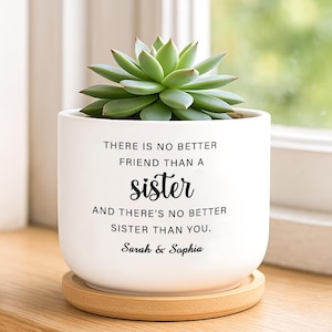 Personalized Sister Plant Pot Gift, There&#39;s No Better Friend Than a Sister, Soul Sister Gift, Sisters Mother&#39;s Day Gifts, Custom Plant Pot