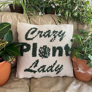 Crazy Plant Lady Pillow - Crochet Pattern