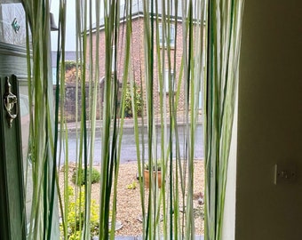Ribbon curtain/ fly curtain. Shades of Green -  Made to measure, door and window curtain/fly curtain/ insect screen/ backdrop
