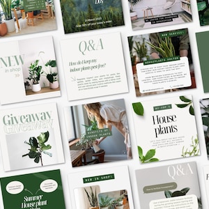 Instagram Plant Store Templates, Garden Shop Editable IG Posts Templates, Flower Shop Social Media Content, Houseplant, Earth Greenery