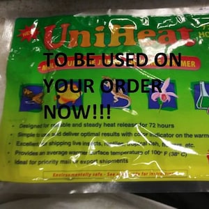 May include: Green and yellow heat pack with the text "UniHeat" and "To Be Used On" in black. The pack is designed for reliable and steady heat release for 72 hours. It is simple to use and delivers optimal results with a color indicator on the warmer. It is excellent for shipping live insects, reptiles, tropical fish, flowers, etc. It provides an average warmer surface temperature of 100° F (38° C). It is ideal for priority mail or export shipments.