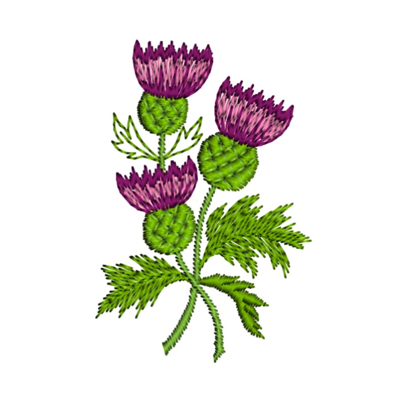 Thistle National Flower Of Scotland Purple Green Motif Napkin Etsy
